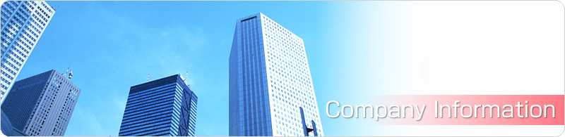 Company Information